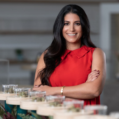 Lilach Mazor Power ARIZONA DISPENSARIES ASSOCIATION